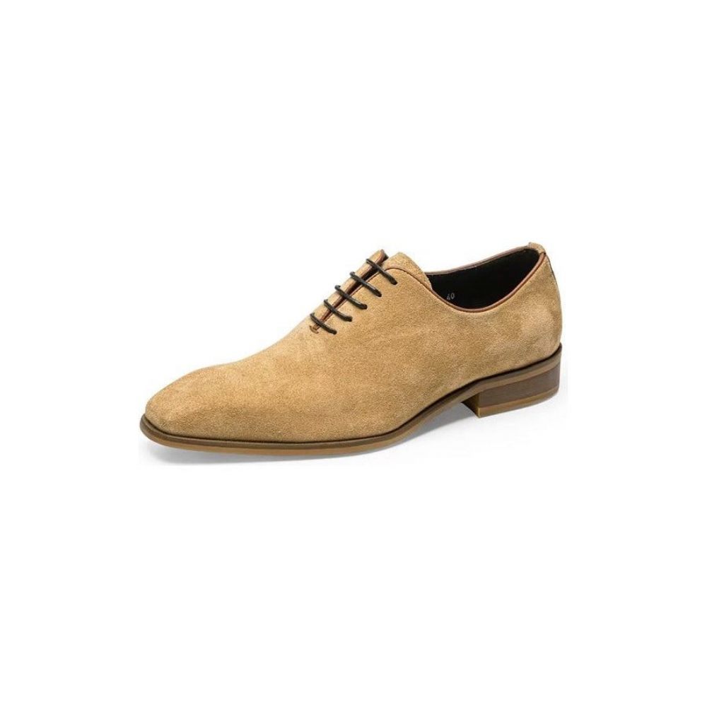 Chaussures Habillées Daim Pour Hommes Oxford Élégantes