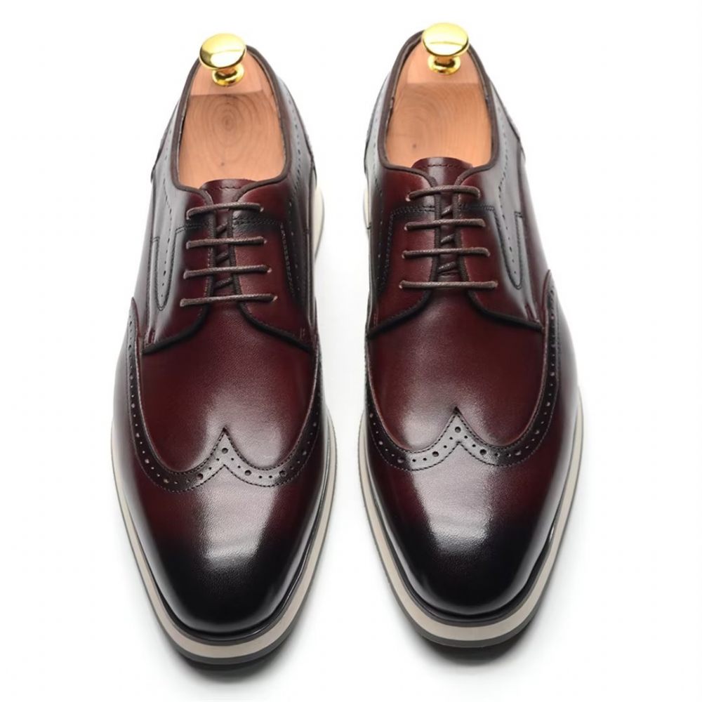 Chaussures Habillées Élégantes Dentelle Sophistiquées Pour Hommes - Marron