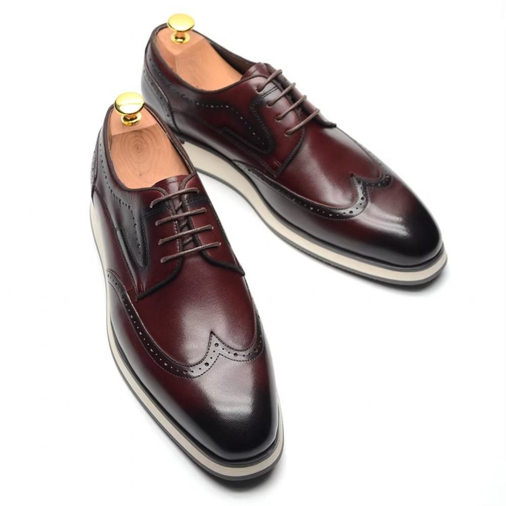 Chaussures Habillées Élégantes Dentelle Sophistiquées Pour Hommes - Marron