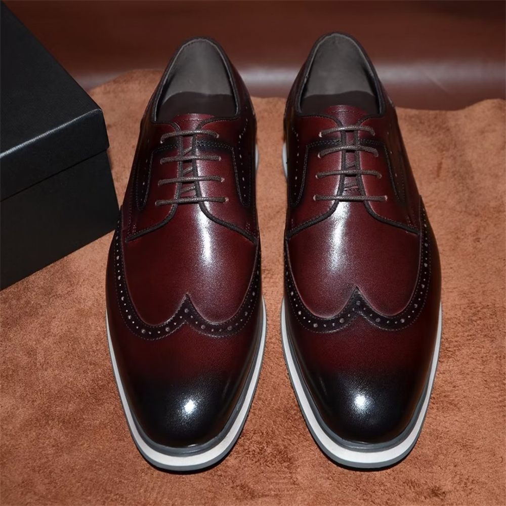 Chaussures Habillées Élégantes Dentelle Sophistiquées Pour Hommes - Marron