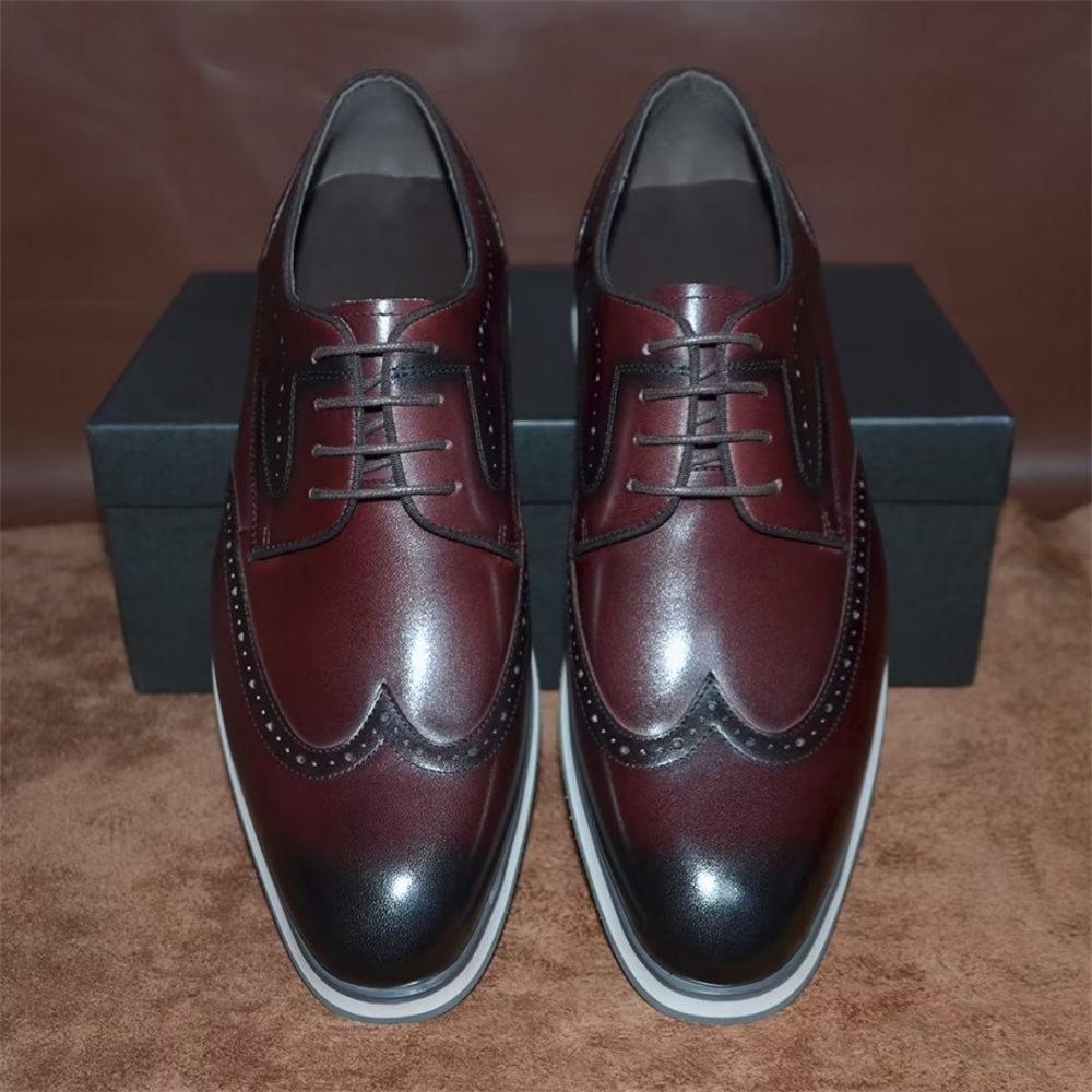 Chaussures Habillées Élégantes Dentelle Sophistiquées Pour Hommes - Marron