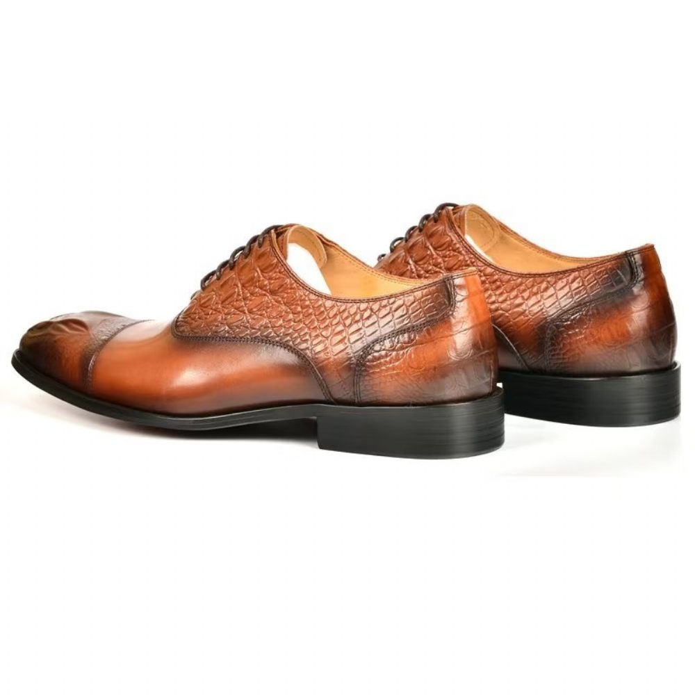 Chaussures Habillées Élégantes Pour Hommes Oxford À Texture Crocodile - Marron