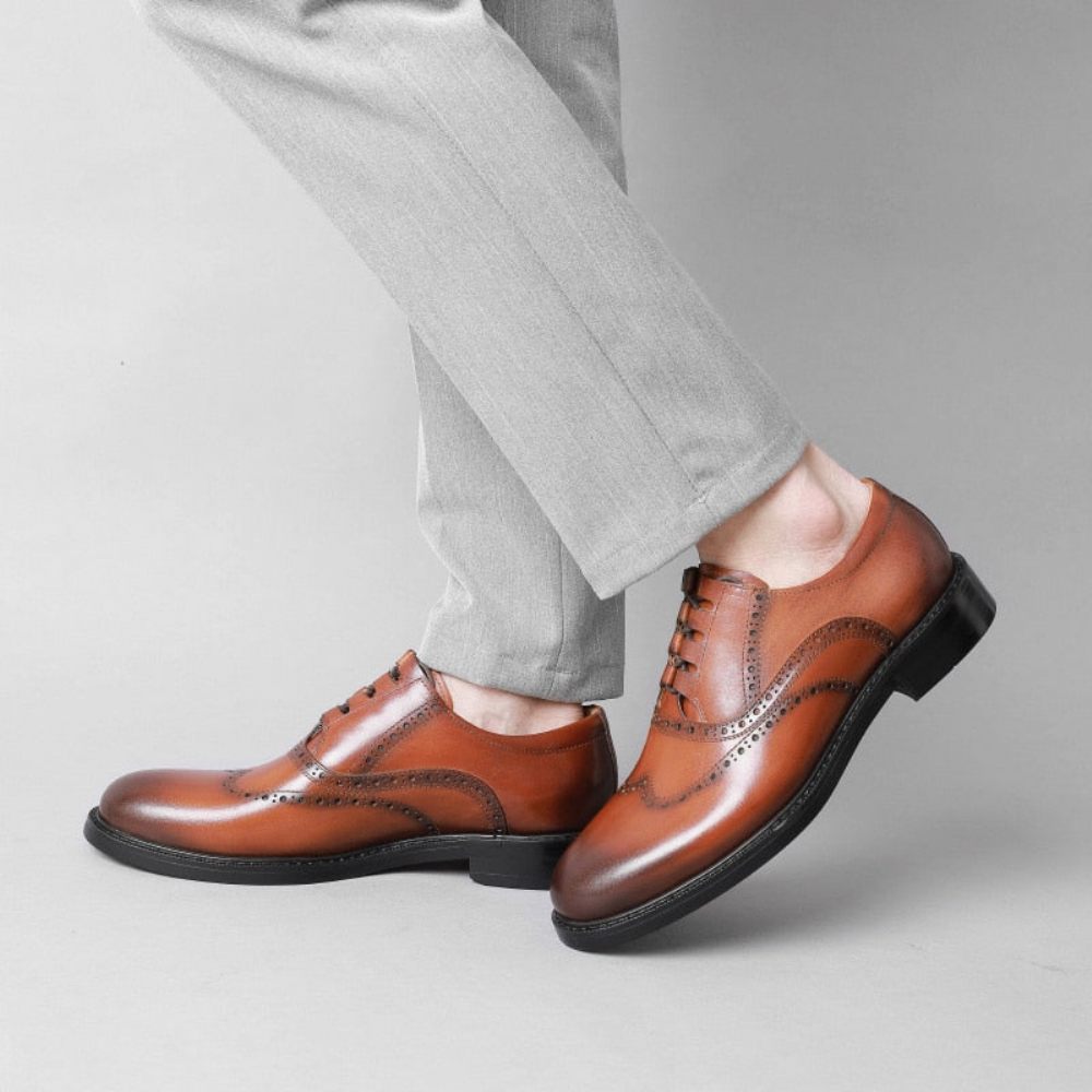 Chaussures Habillées Exotiques Pour Hommes - Marron