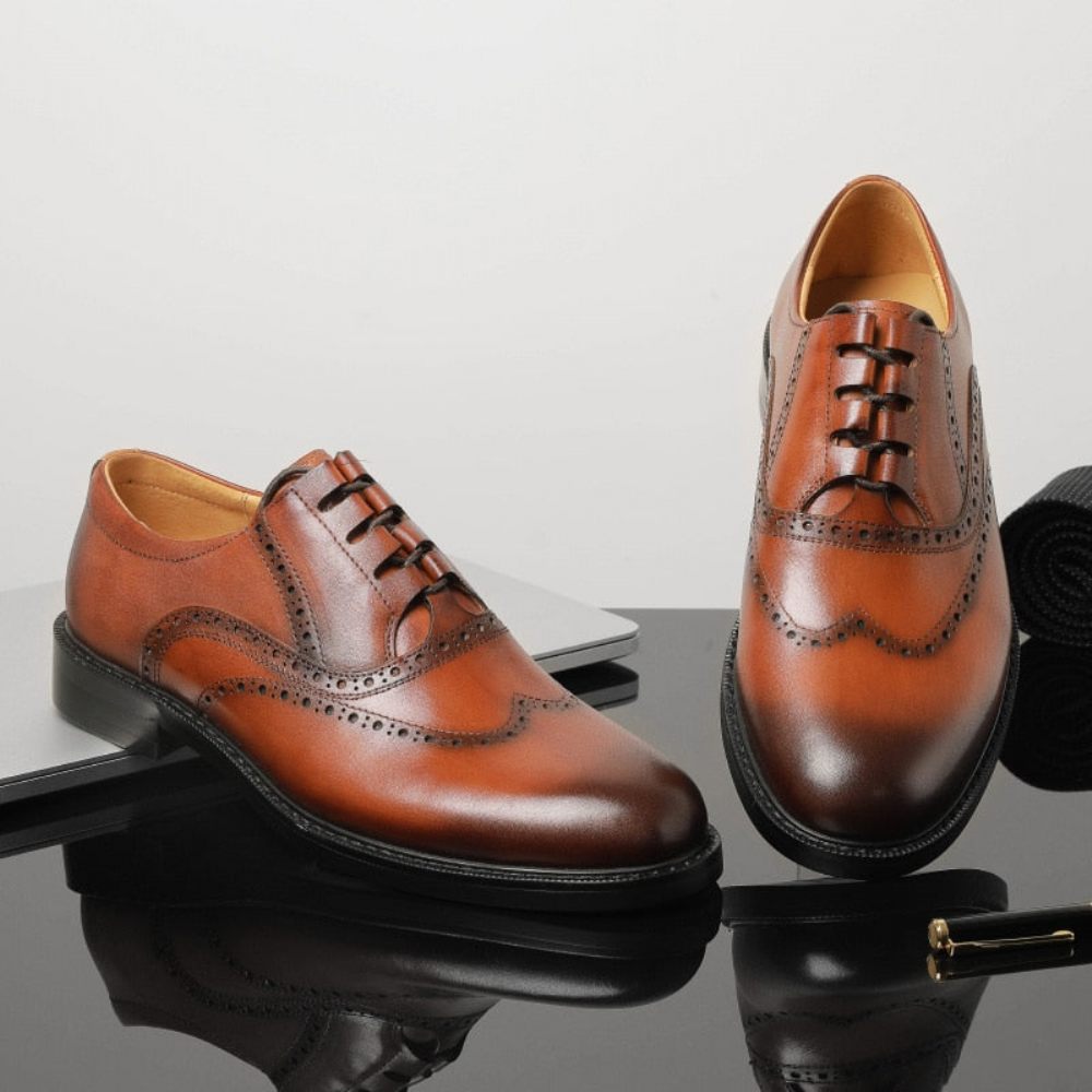 Chaussures Habillées Exotiques Pour Hommes - Marron