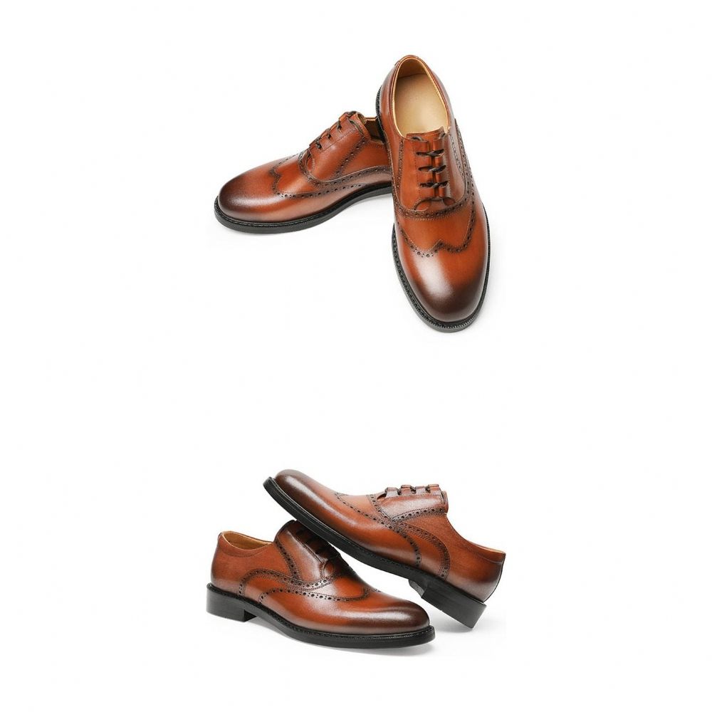 Chaussures Habillées Exotiques Pour Hommes - Marron