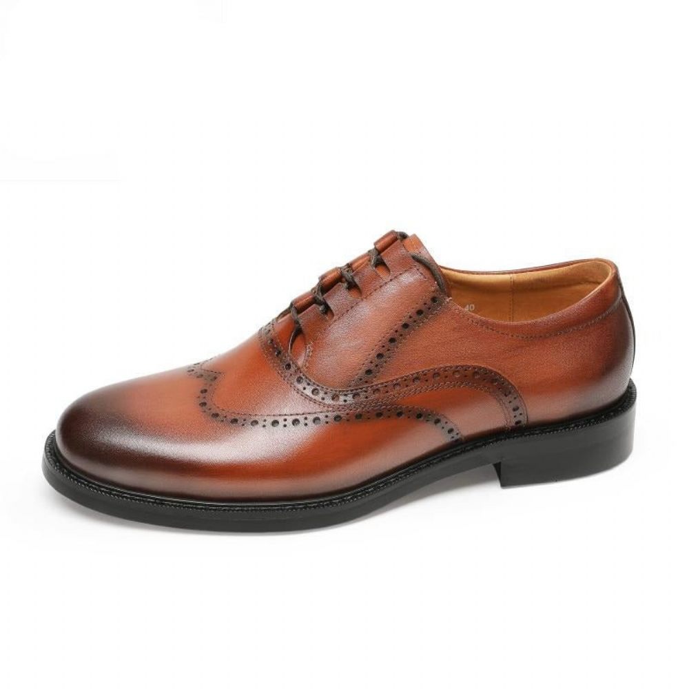 Chaussures Habillées Exotiques Pour Hommes - Marron