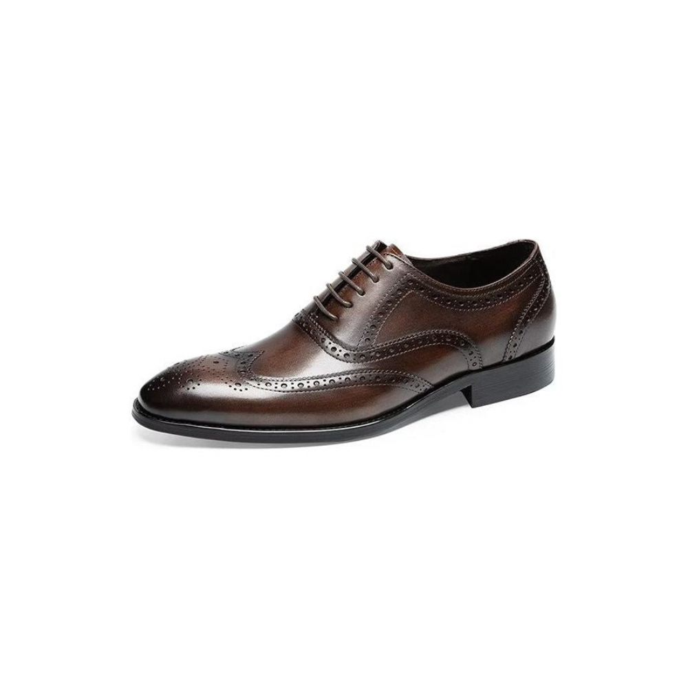 Chaussures Habillées Pour Hommes Brogues À Lacets Cuir - Café