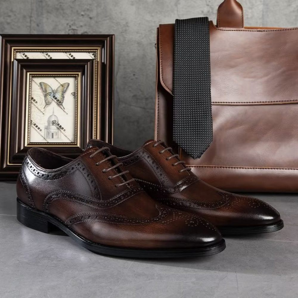 Chaussures Habillées Pour Hommes Brogues À Lacets Cuir - Café