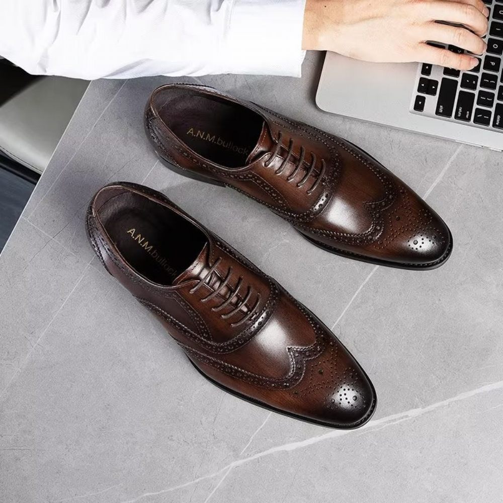 Chaussures Habillées Pour Hommes Brogues À Lacets Cuir - Café