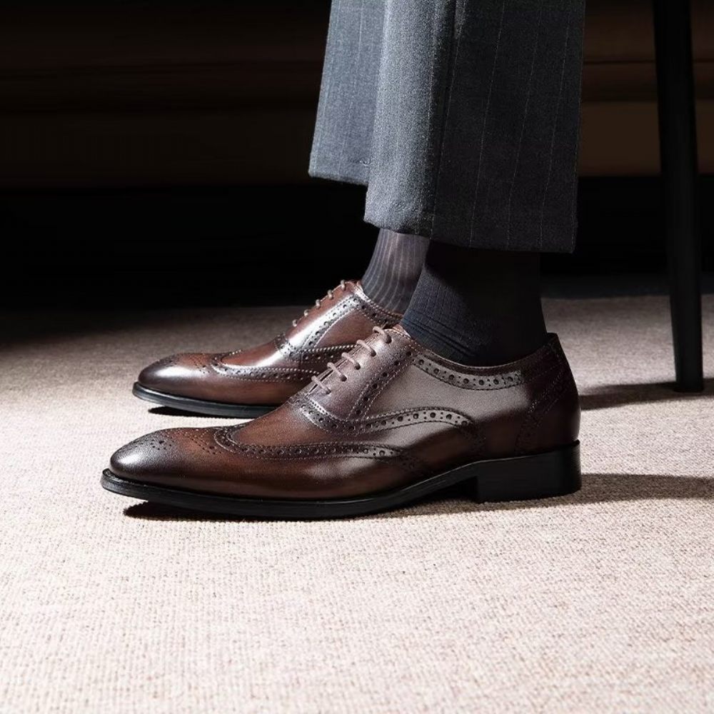 Chaussures Habillées Pour Hommes Brogues À Lacets Cuir - Café