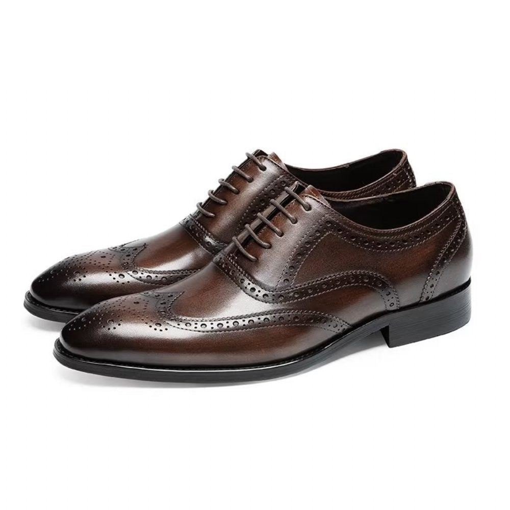 Chaussures Habillées Pour Hommes Brogues À Lacets Cuir - Café