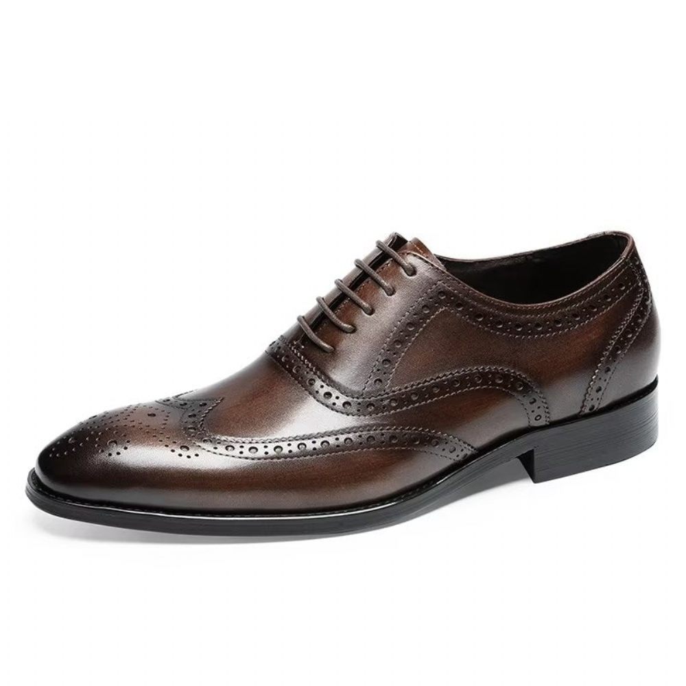 Chaussures Habillées Pour Hommes Brogues À Lacets Cuir - Café