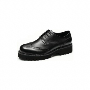 Chaussures Habillées Pour Hommes Cuir Dress Majestic