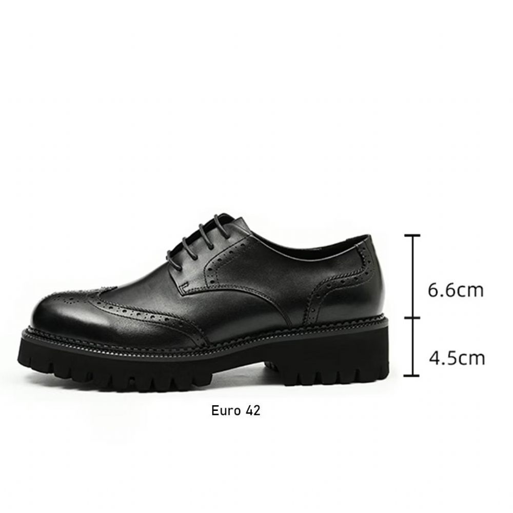 Chaussures Habillées Pour Hommes Cuir Dress Majestic - Noir