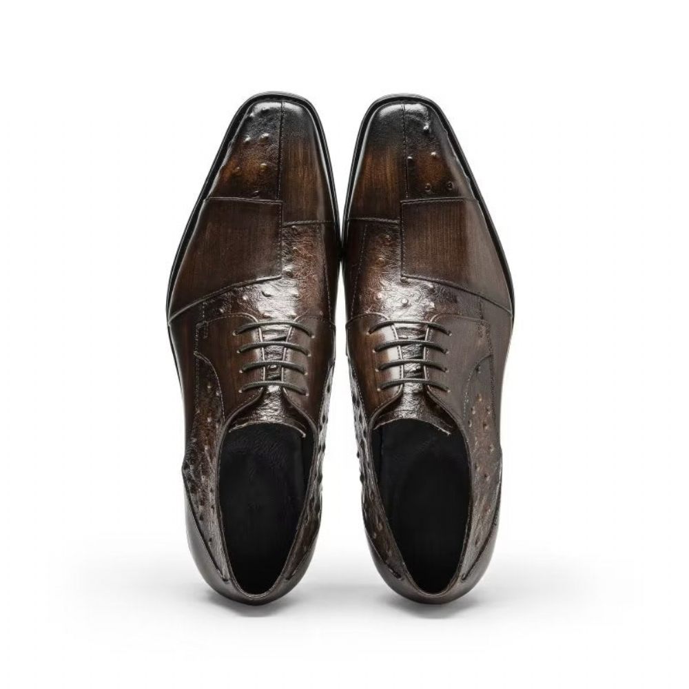 Chaussures Habillées Pour Hommes Derbies Formelles À Texture Exotique - Café