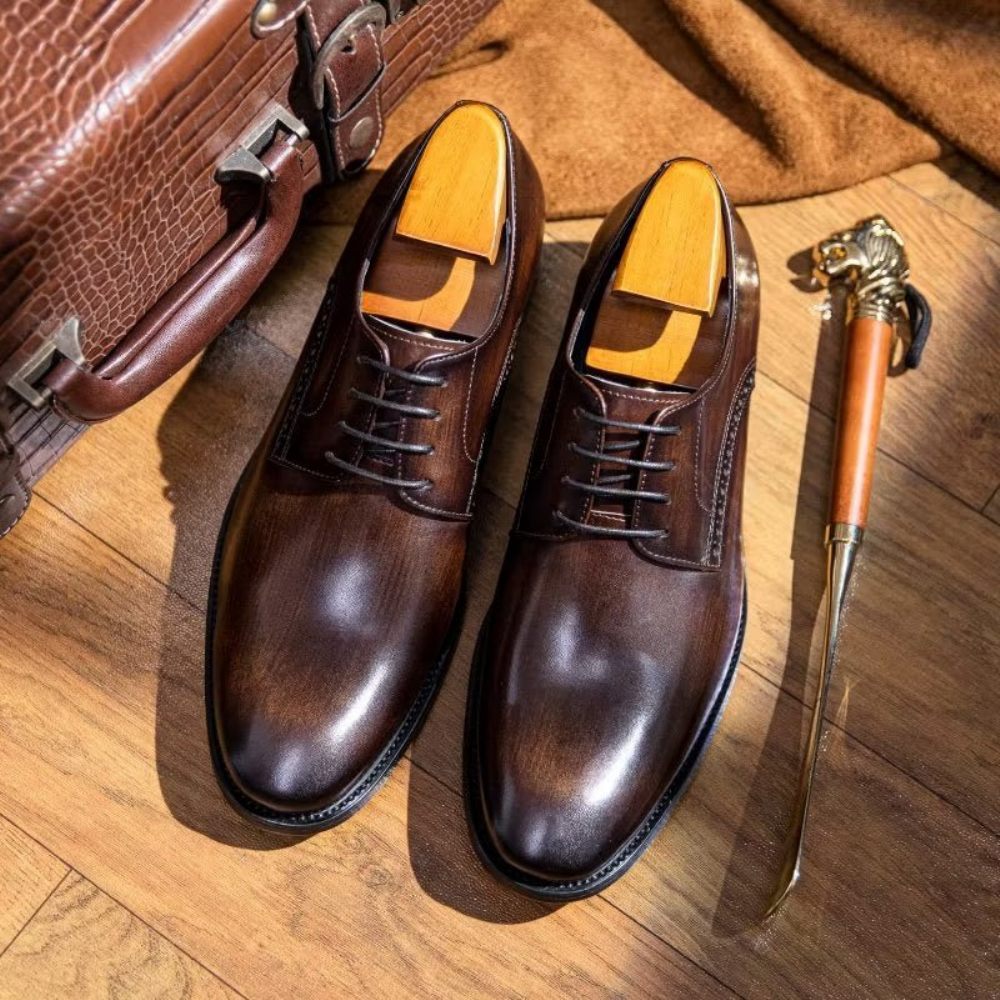 Chaussures Habillées Pour Hommes Derby Chics - Café