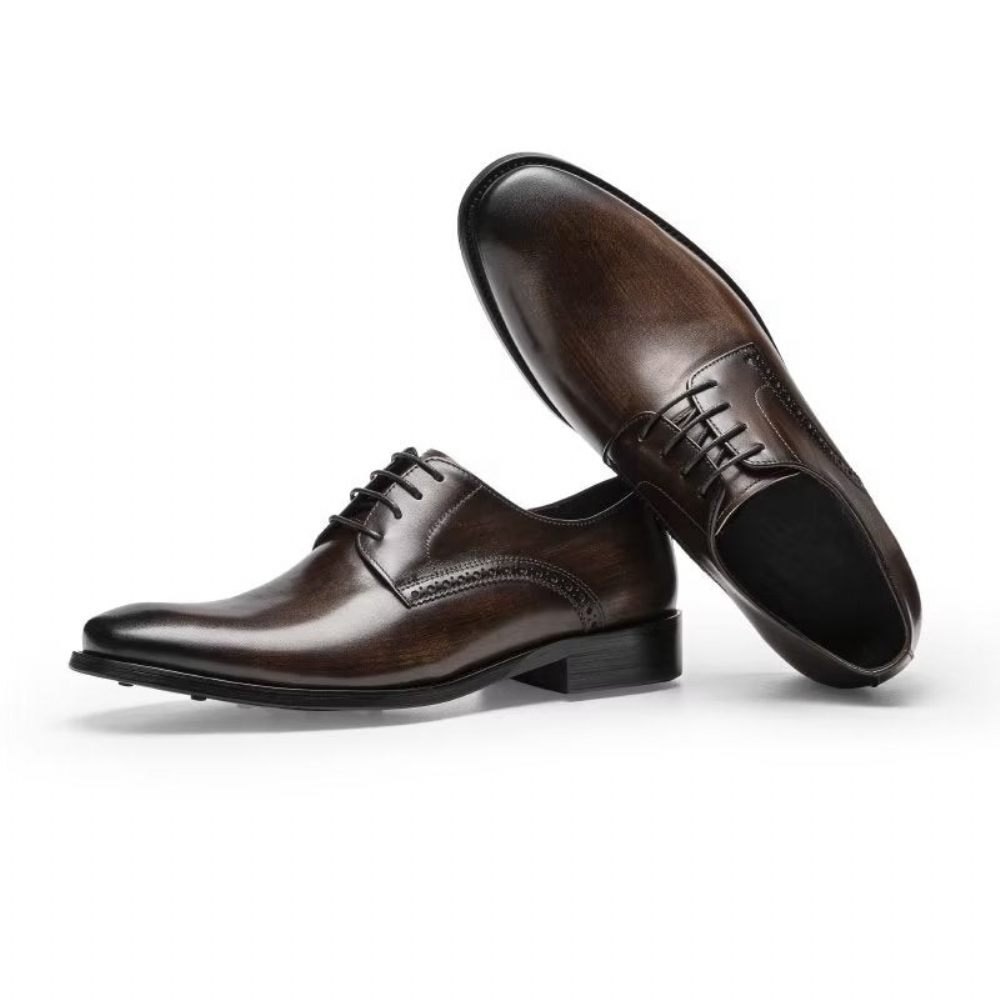 Chaussures Habillées Pour Hommes Derby Chics - Café