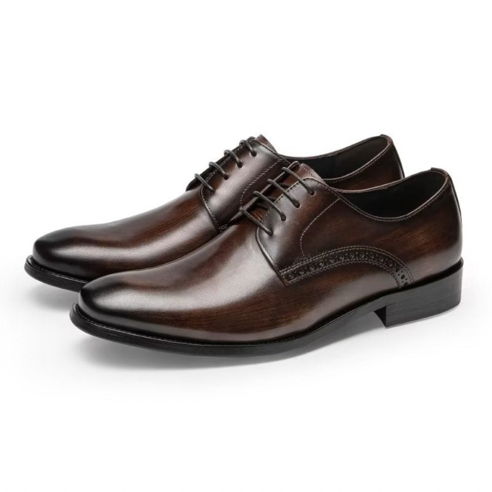 Chaussures Habillées Pour Hommes Derby Chics - Café