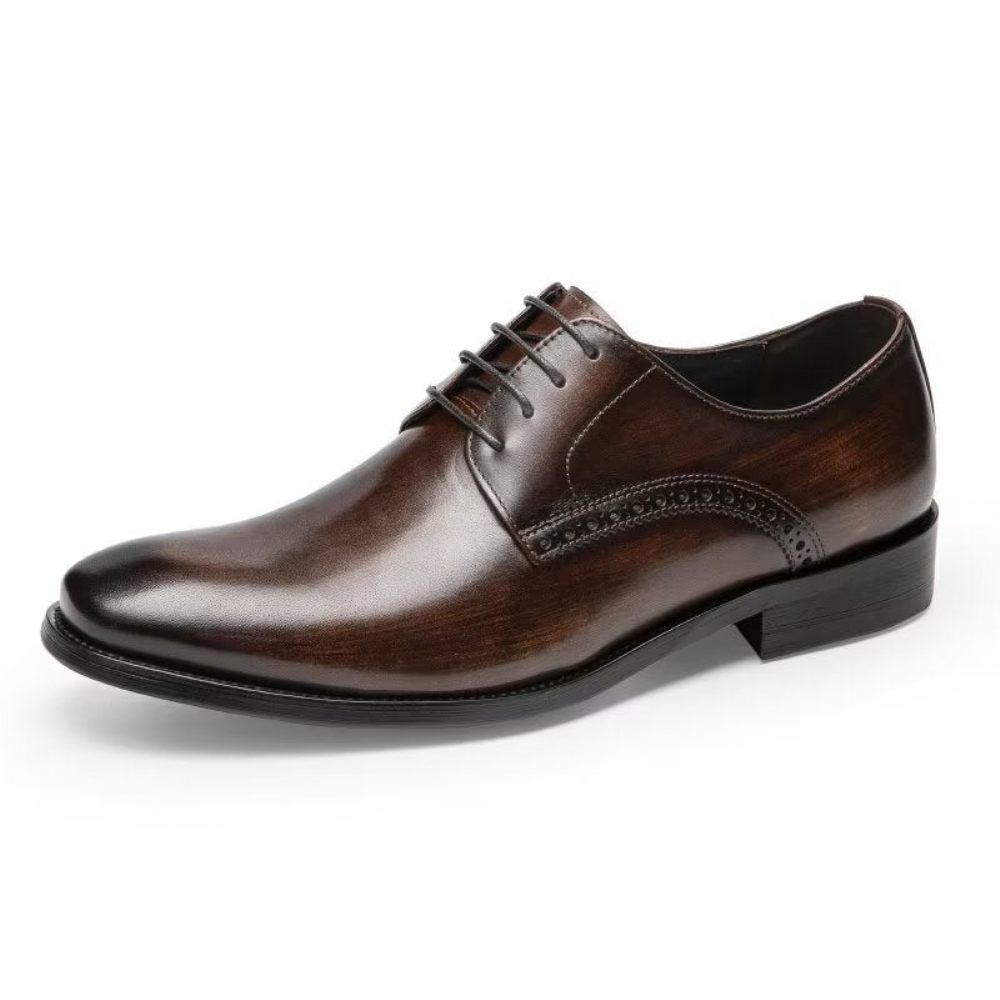 Chaussures Habillées Pour Hommes Derby Chics - Café