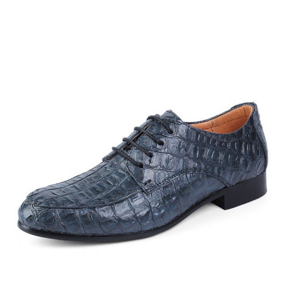 Chaussures Habillées Pour Hommes Derby Cuir À Lacets - Bleu