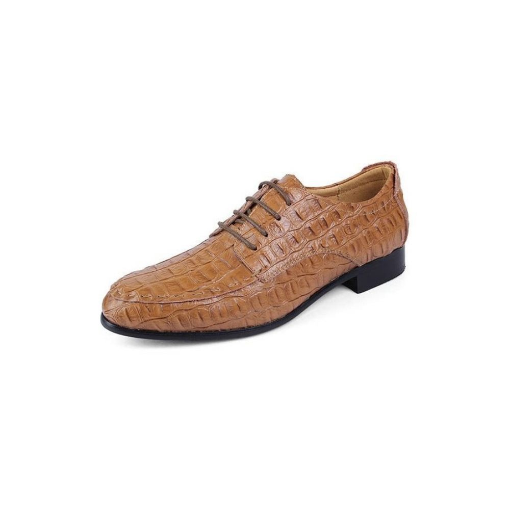 Chaussures Habillées Pour Hommes Derby Cuir À Lacets - Café