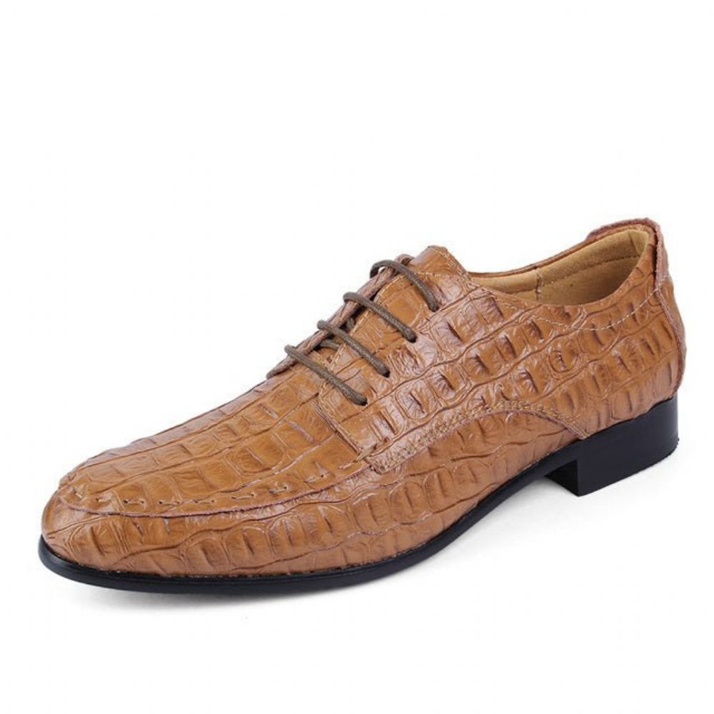 Chaussures Habillées Pour Hommes Derby Cuir À Lacets - Café