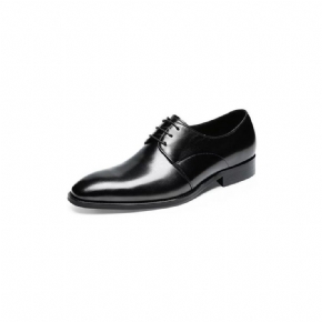 Chaussures Habillées Pour Hommes Derby Cuir Vache Raffiné