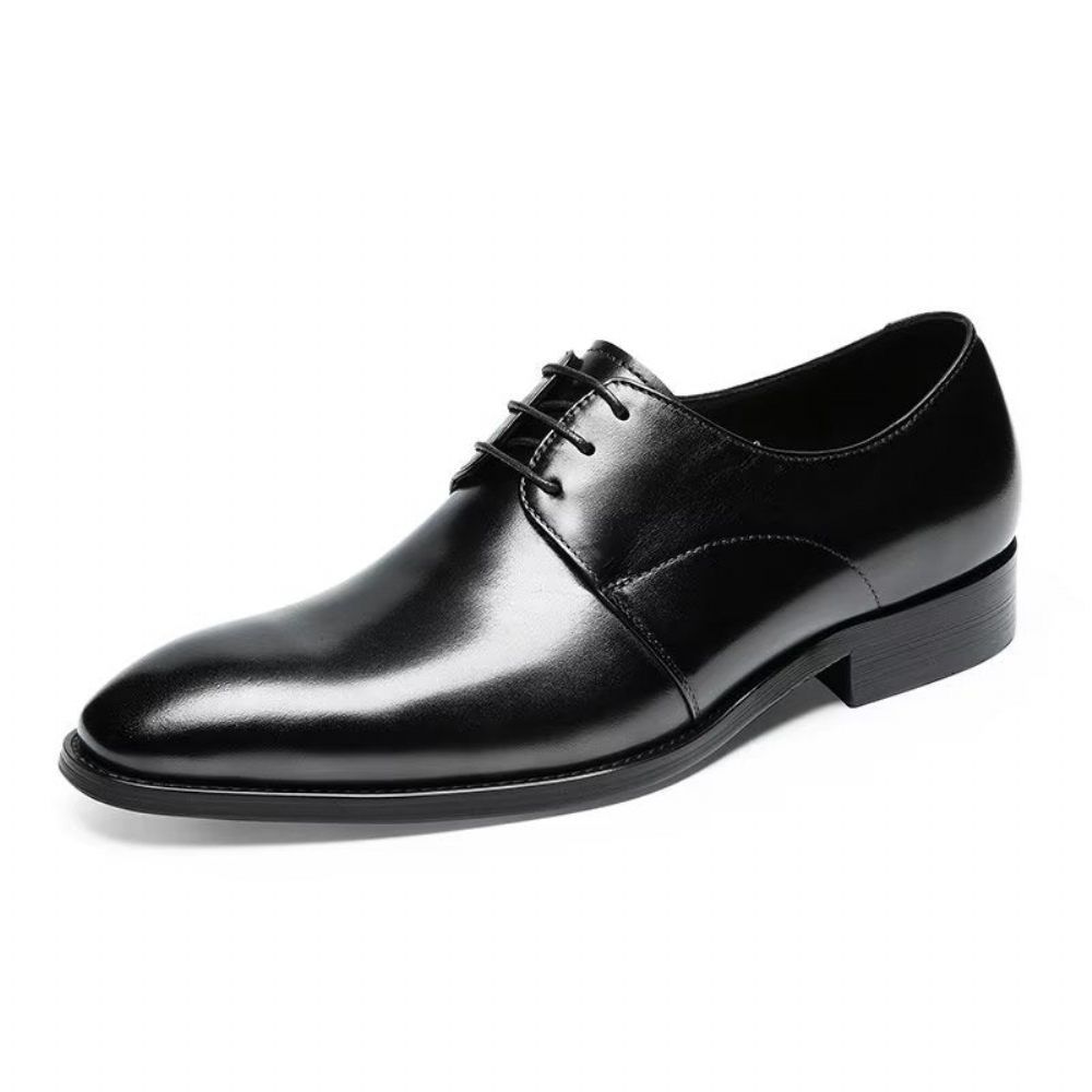 Chaussures Habillées Pour Hommes Derby Cuir Vache Raffiné - Noir