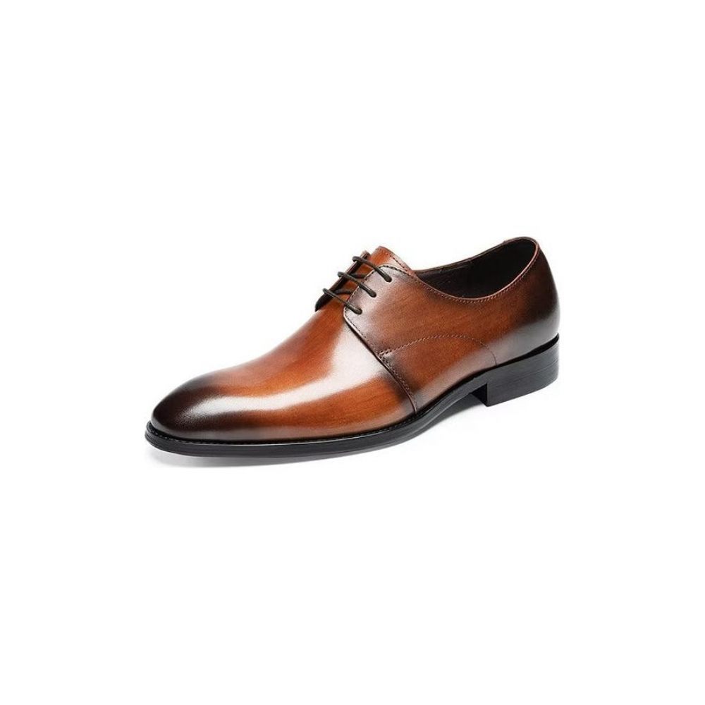 Chaussures Habillées Pour Hommes Derby Cuir Vache Raffiné - Café