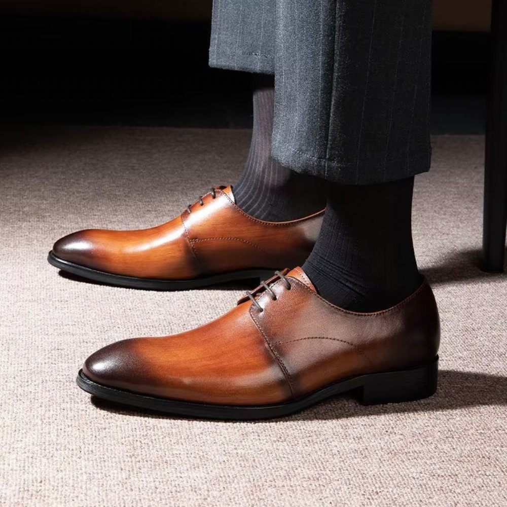 Chaussures Habillées Pour Hommes Derby Cuir Vache Raffiné - Café