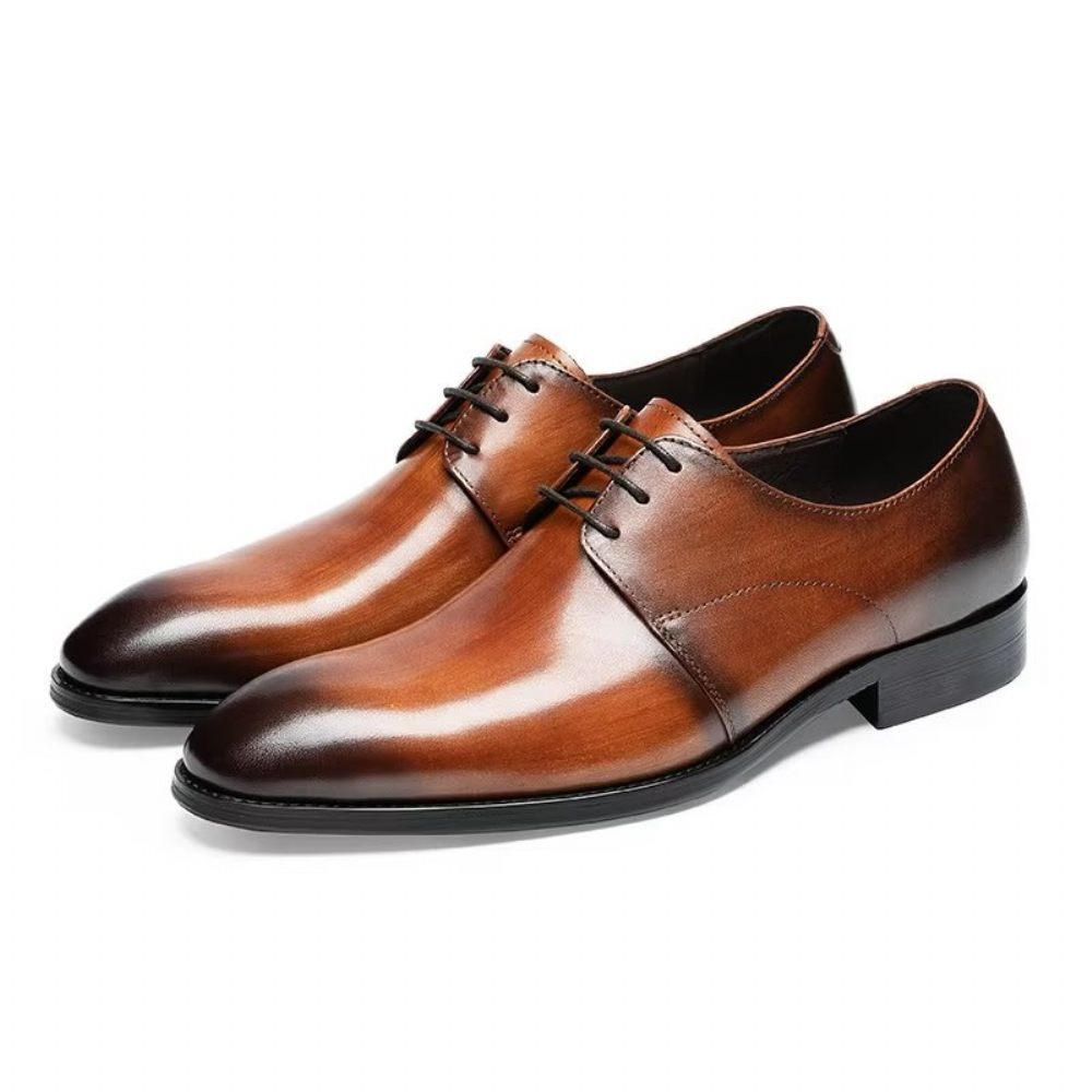 Chaussures Habillées Pour Hommes Derby Cuir Vache Raffiné - Café