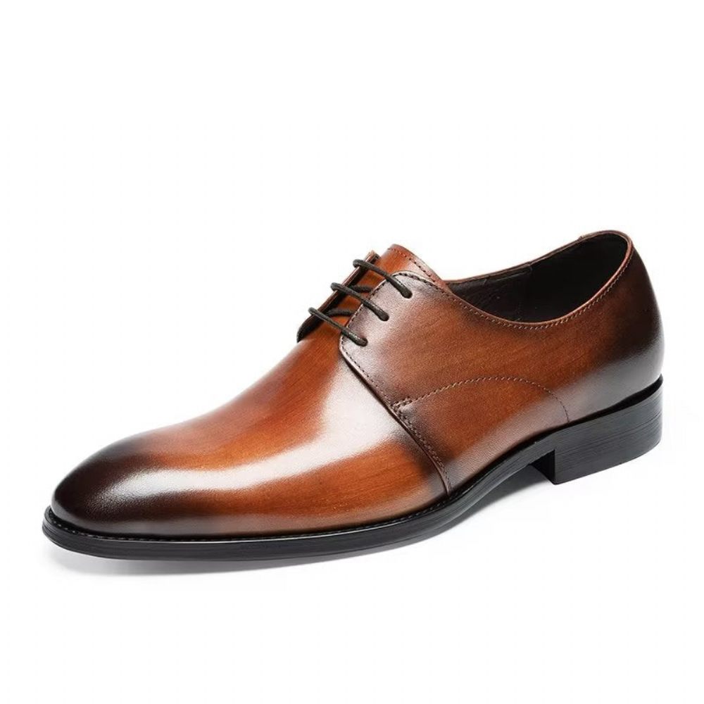 Chaussures Habillées Pour Hommes Derby Cuir Vache Raffiné - Café