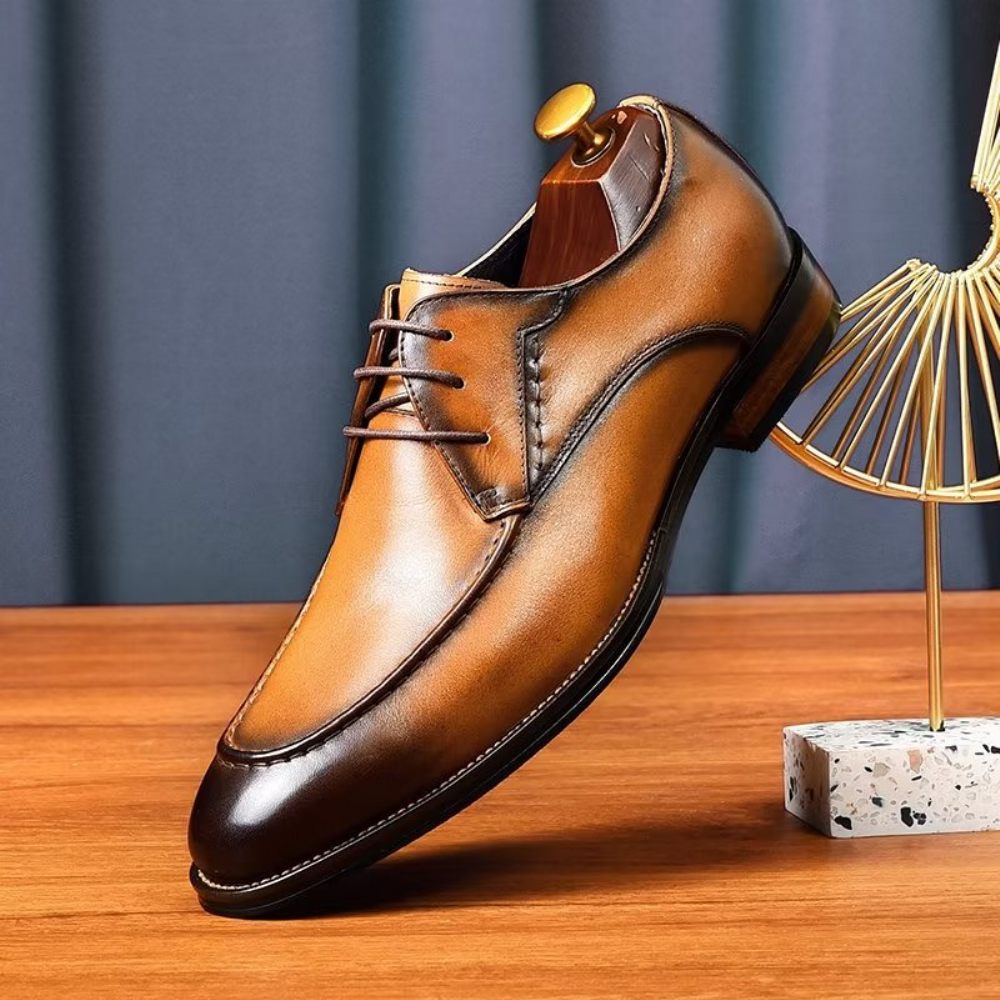 Chaussures Habillées Pour Hommes Derby Élégantes - Café