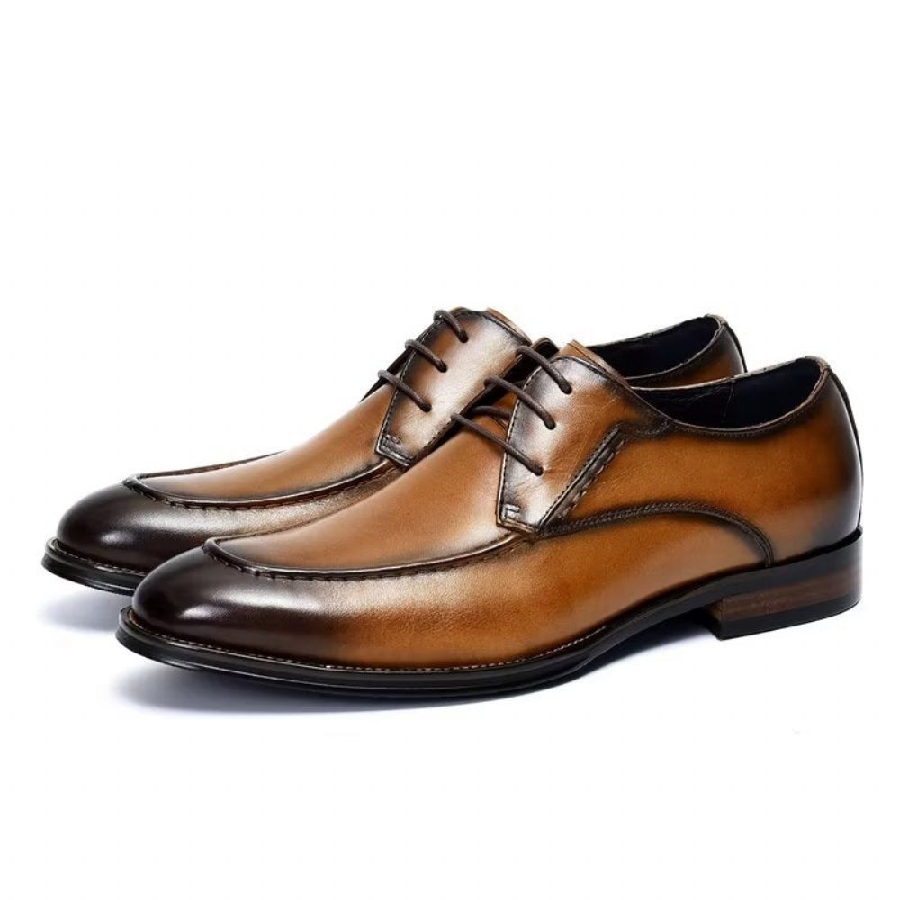 Chaussures Habillées Pour Hommes Derby Élégantes - Café