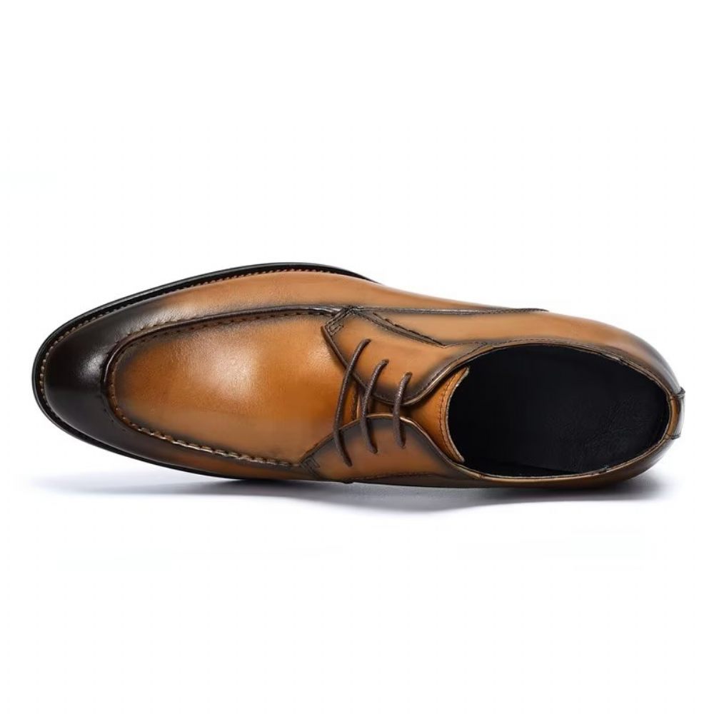 Chaussures Habillées Pour Hommes Derby Élégantes - Café