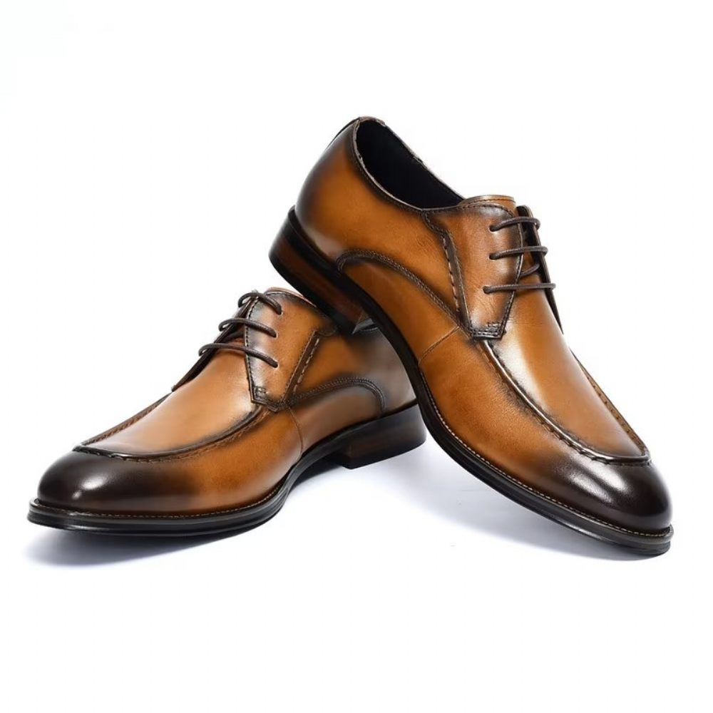 Chaussures Habillées Pour Hommes Derby Élégantes - Café