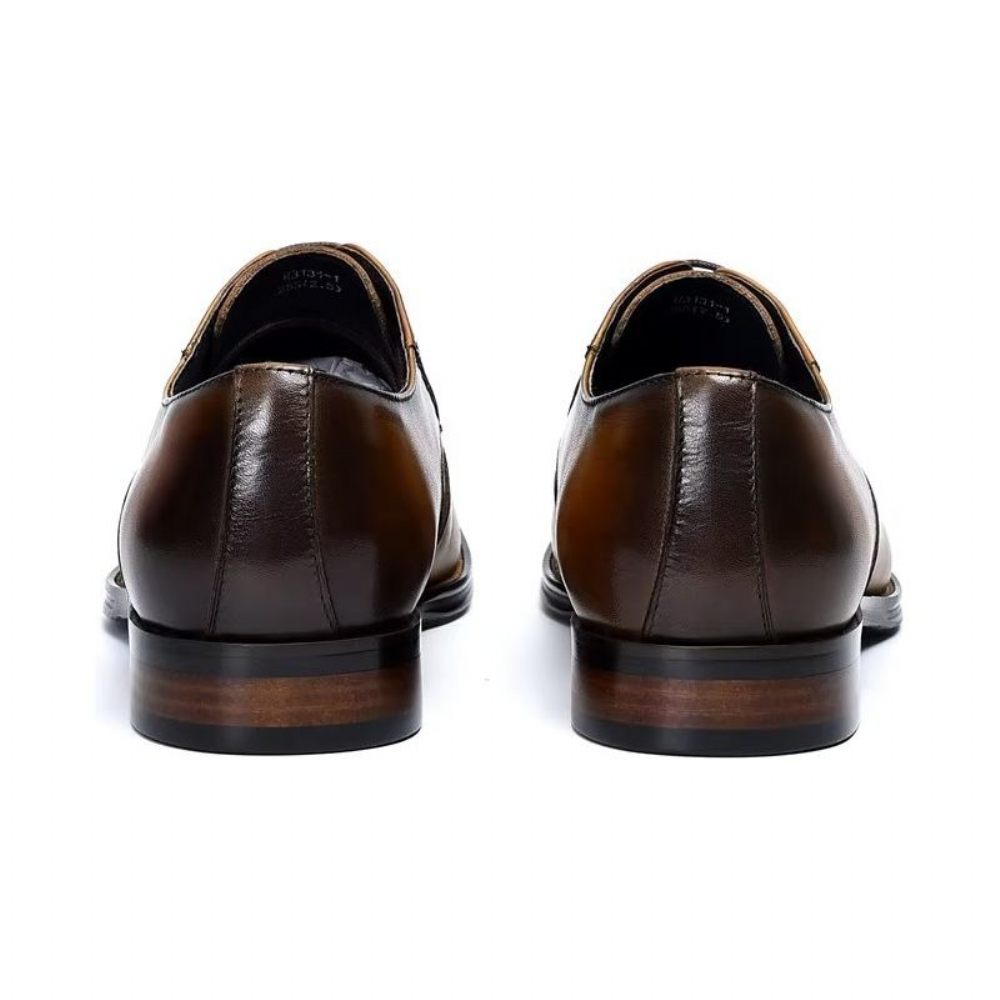 Chaussures Habillées Pour Hommes Derby Élégantes - Café