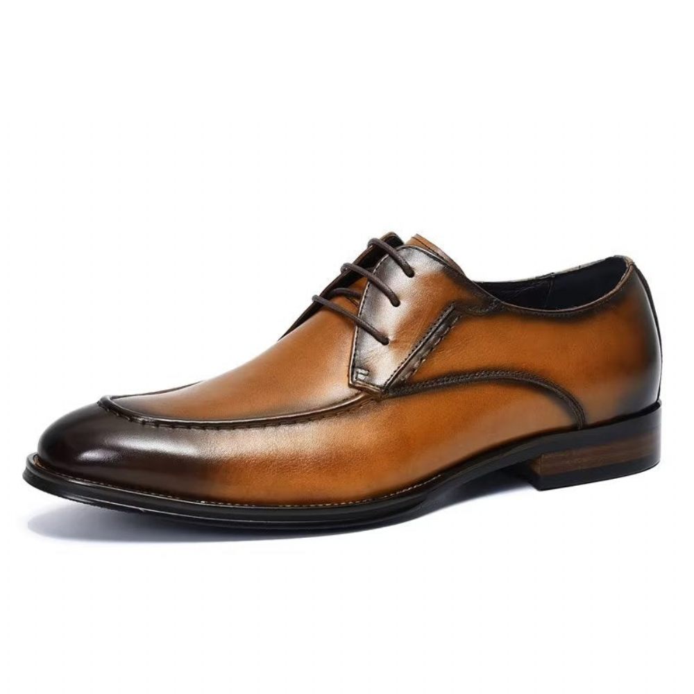 Chaussures Habillées Pour Hommes Derby Élégantes - Café