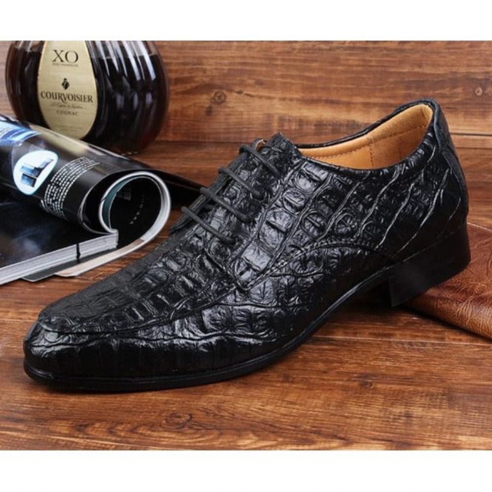 Chaussures Habillées Pour Hommes Derby Exotiques À Lacets - Noir