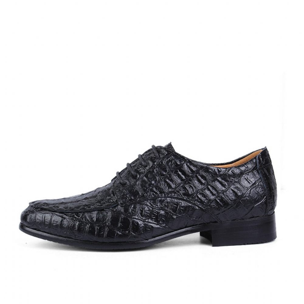 Chaussures Habillées Pour Hommes Derby Exotiques À Lacets - Noir