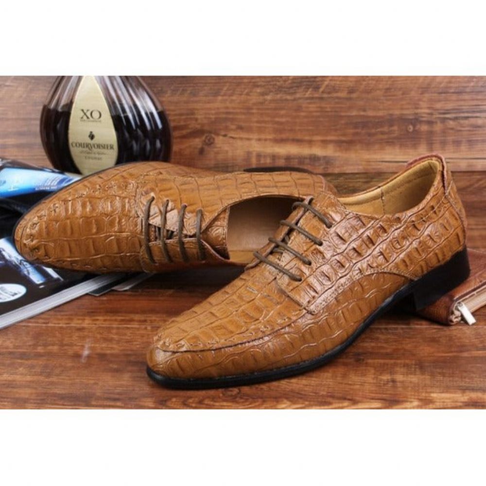 Chaussures Habillées Pour Hommes Derby Exotiques À Lacets - Café