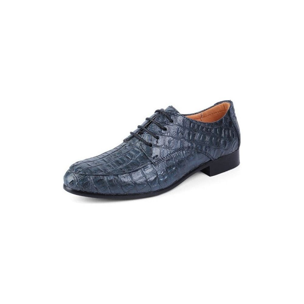 Chaussures Habillées Pour Hommes Derby Exotiques À Lacets - Bleu