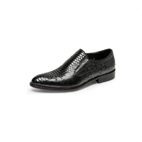 Chaussures Habillées Pour Hommes À Enfiler Opulent Croctex