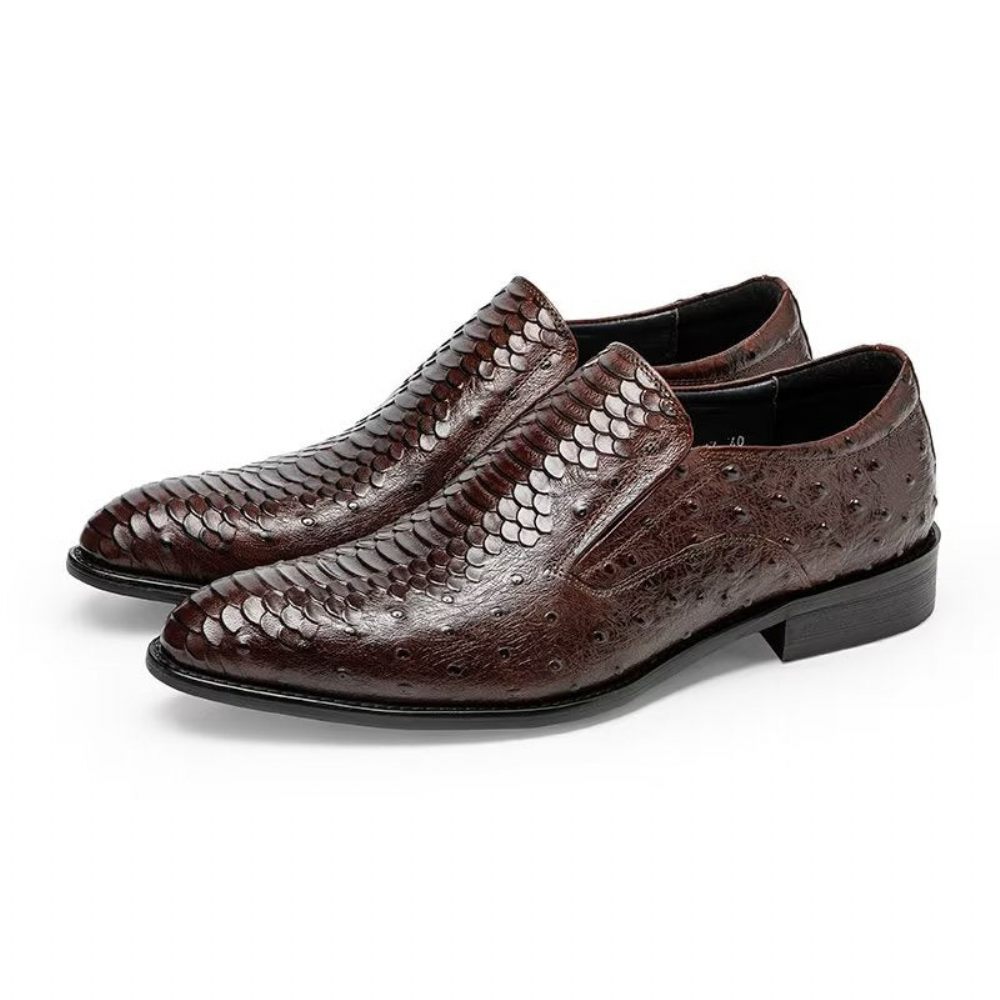 Chaussures Habillées Pour Hommes À Enfiler Opulent Croctex - Café