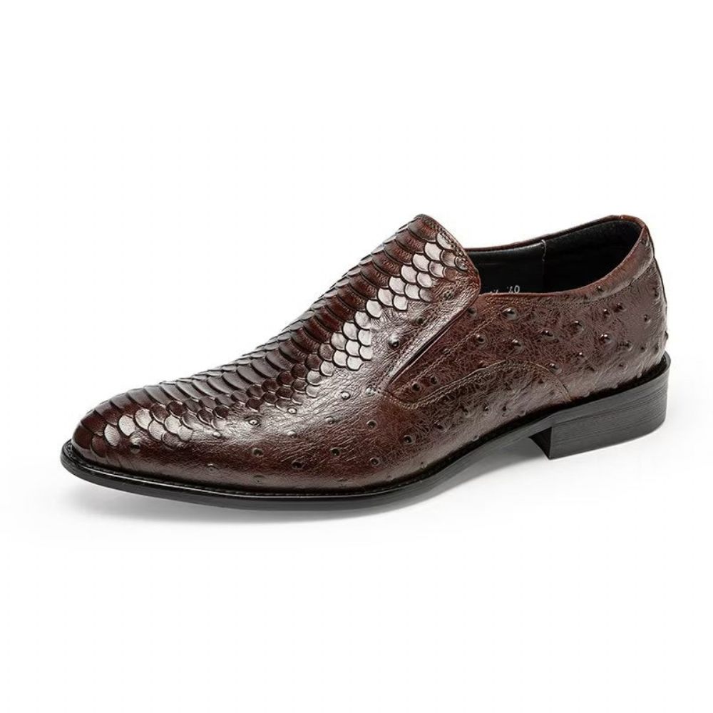 Chaussures Habillées Pour Hommes À Enfiler Opulent Croctex - Café