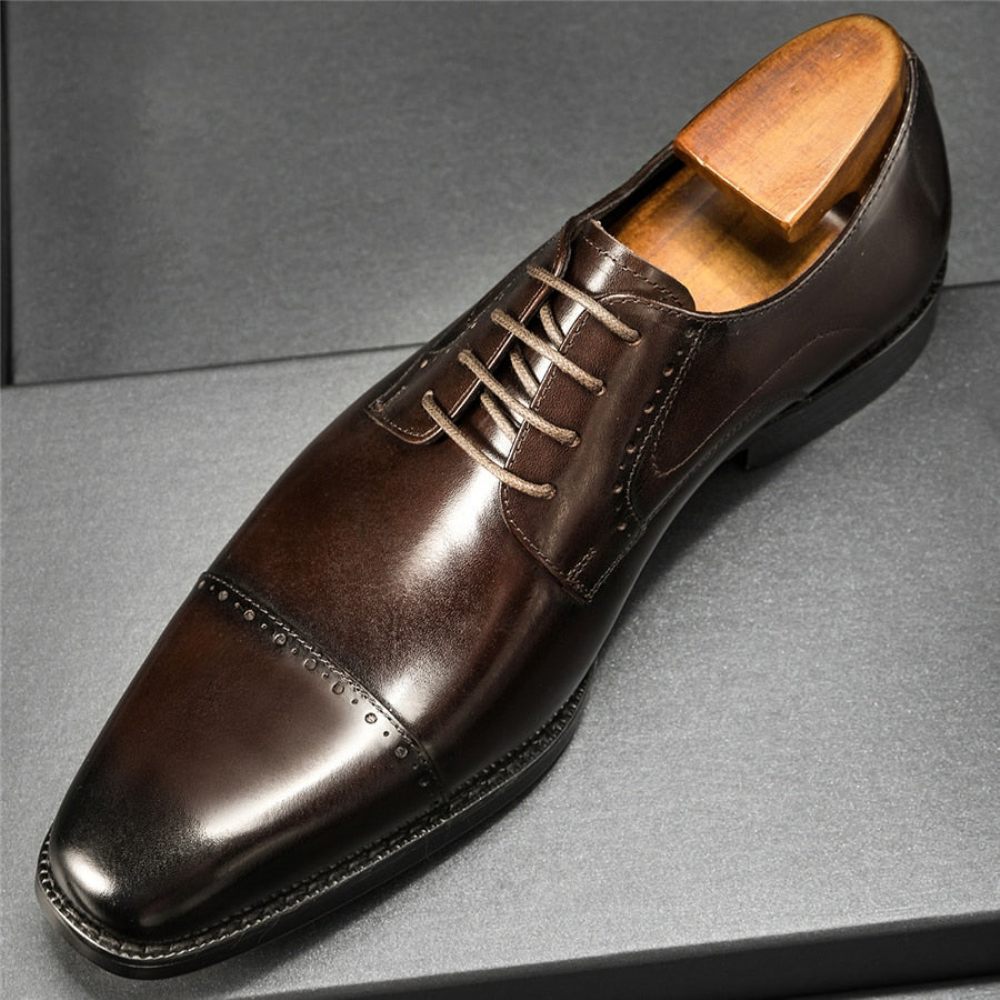 Chaussures Habillées Pour Hommes Exotiques À Lacets Affaires Et Mariage - Café