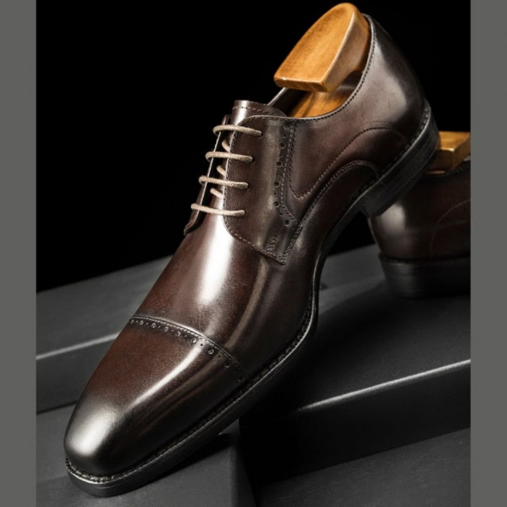 Chaussures Habillées Pour Hommes Exotiques À Lacets Affaires Et Mariage - Café