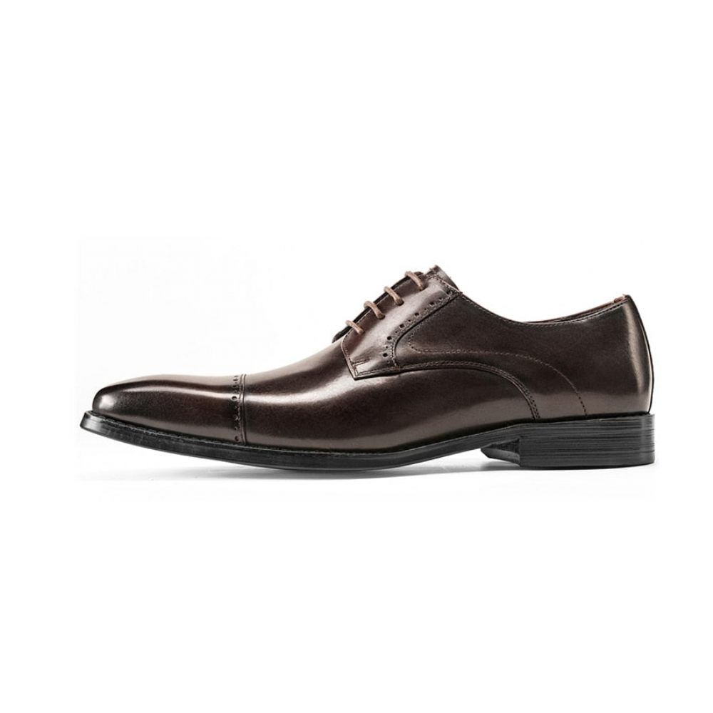 Chaussures Habillées Pour Hommes Exotiques À Lacets Affaires Et Mariage - Café