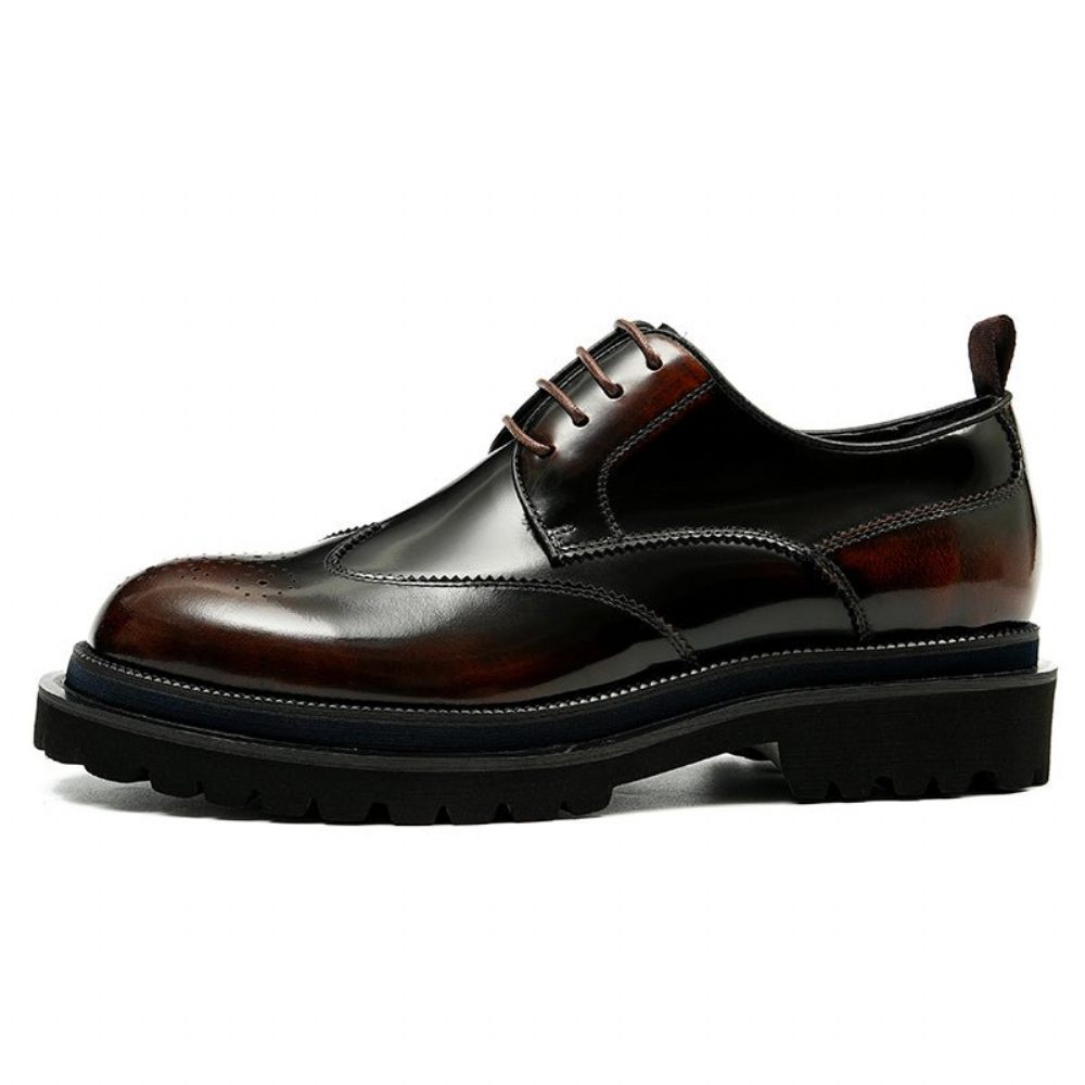 Chaussures Habillées Pour Hommes À Lacets Exotiques Brogue - Café