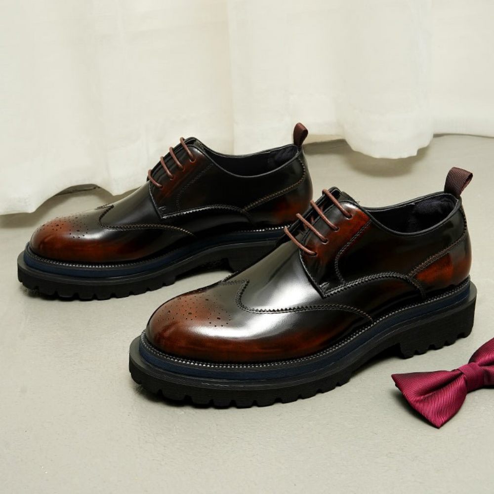 Chaussures Habillées Pour Hommes À Lacets Exotiques Brogue - Café